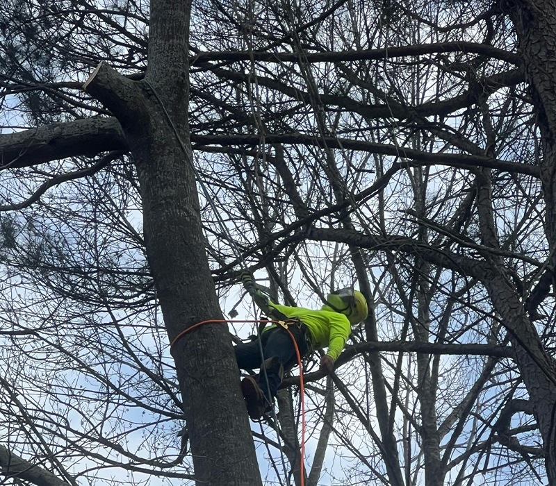 Towing services in Hesperia