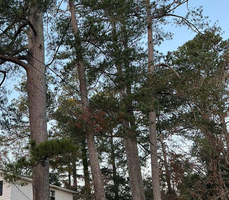 Towing services in Hesperia