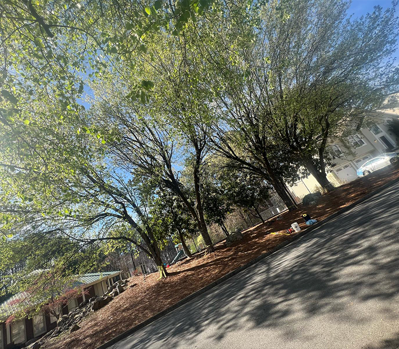 Towing services in Hesperia