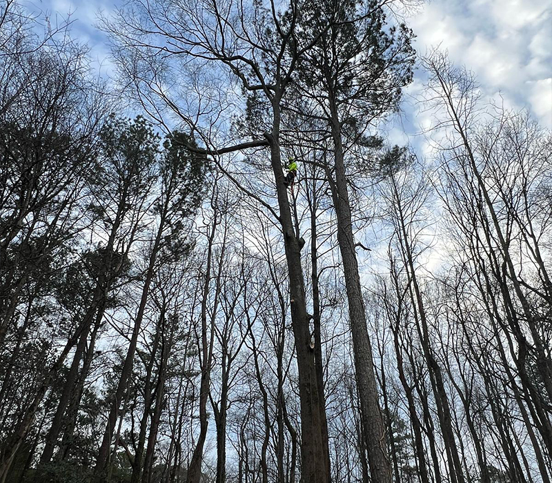 Towing services in Hesperia