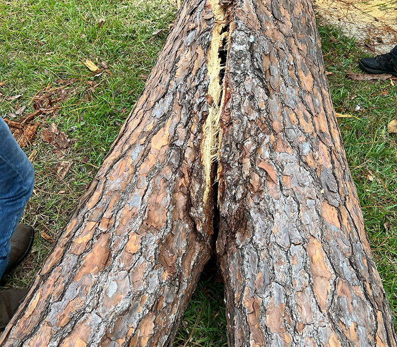 Towing services in Hesperia