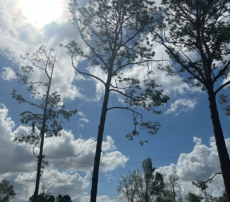 Towing services in Hesperia